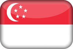 Singapore Flag icon Large